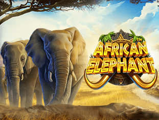 African Elephant game thumbnail