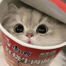 Maia Estianty avatar